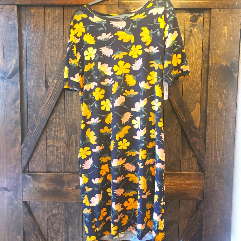 LulaRoe floral Julia dress